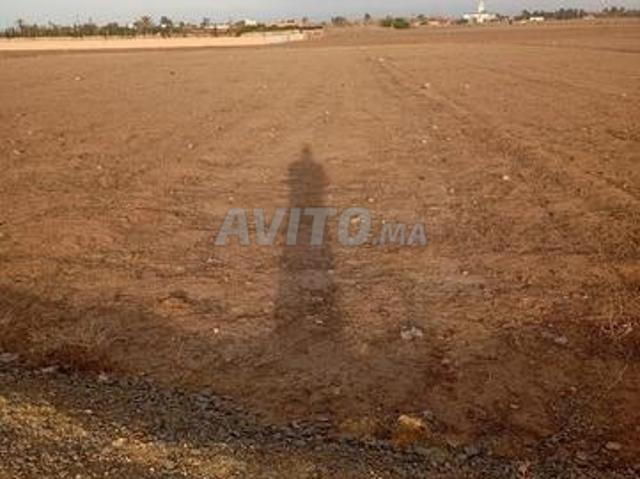 Propriété vente à Gharb-Chrarda-Beni Hssen