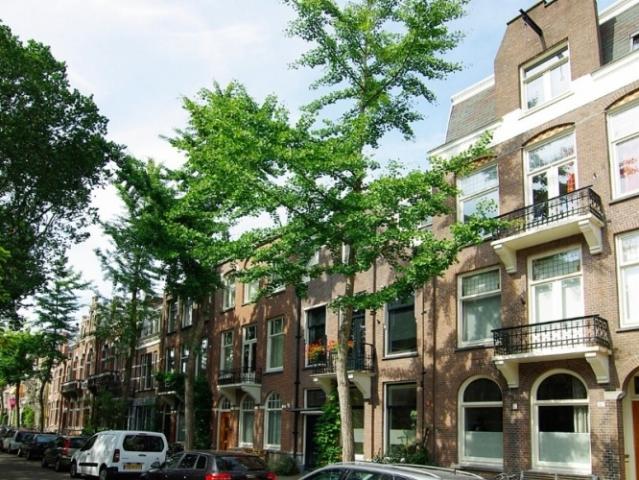 Appartement te huur in Amsterdam