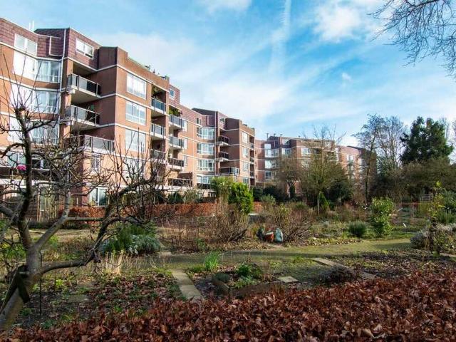Appartement te huur in Amsterdam, Noord Holland