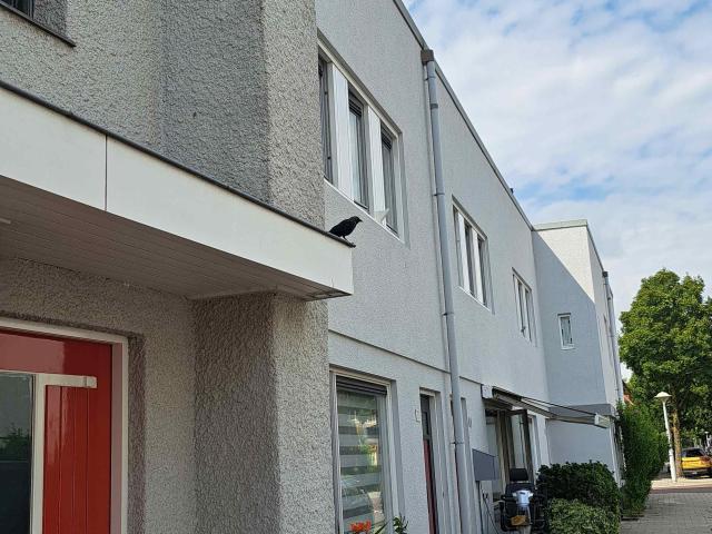 Appartement te huur in Oost, Amsterdam