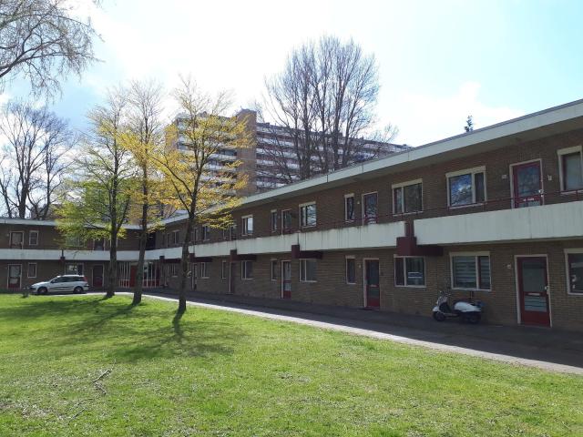 Appartement te huur in Hoornseveld, Zaandam