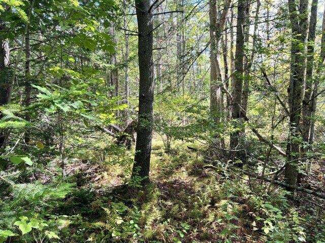 Land for sale in Bowdoinham, Sagadahoc County