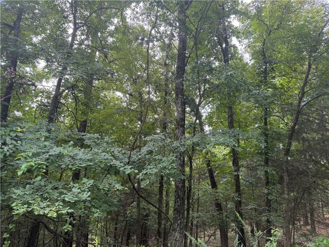 Land for sale in Ark