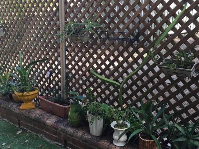 Room for rent in Toombul, Queensland