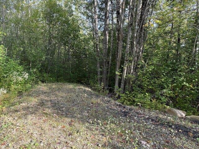 Land for sale in Waldo, Maine