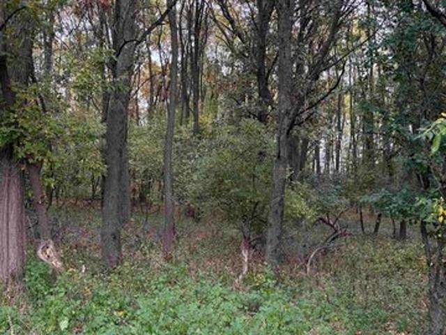 Land for sale in Waupaca, Waupaca County