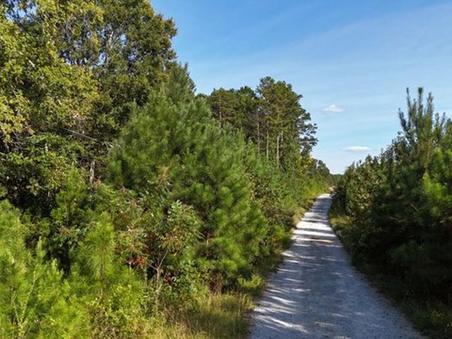 Land for sale in Elberton, Elbert County