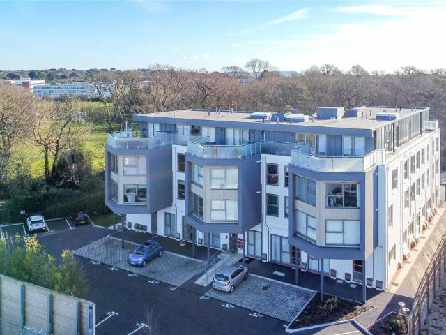 Apartment for rent in Christchurch