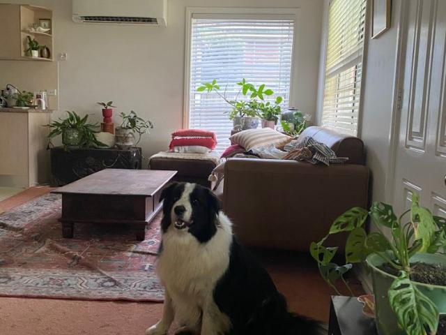 Room for rent in Bowral, New South Wales