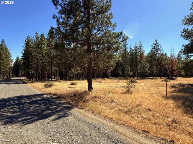 Land for sale in Goldendale, Klickitat County
