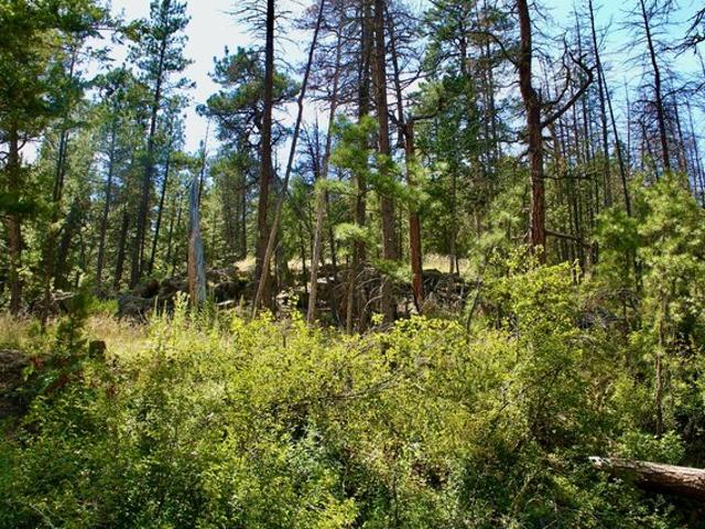 Land for sale in Cascade, Montana