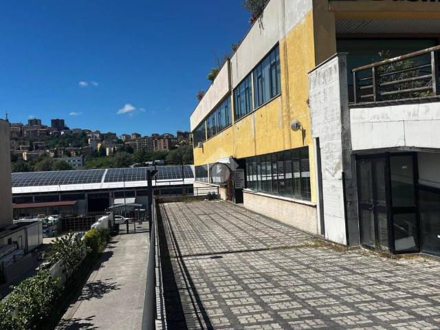 Box in affitto a Marrucaro, Potenza