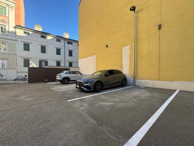 Box in affitto a Città Nuova-Barriera Nuova-San Vito-Città Vecchia, Villa Opicina