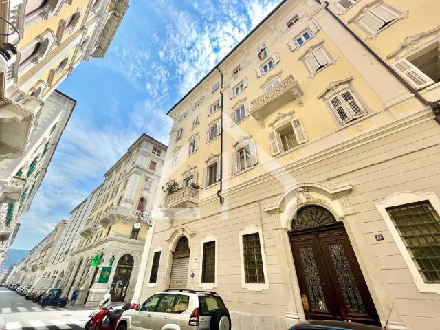 Box in affitto a Città Nuova-Barriera Nuova-San Vito-Città Vecchia, Villa Opicina