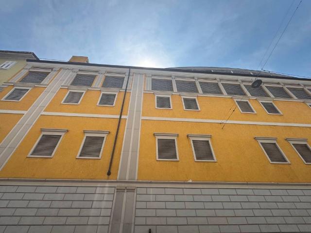 Box in affitto a Città Nuova-Barriera Nuova-San Vito-Città Vecchia, Villa Opicina