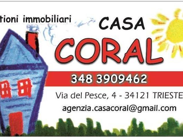Box in affitto a Città Nuova-Barriera Nuova-San Vito-Città Vecchia, Villa Opicina