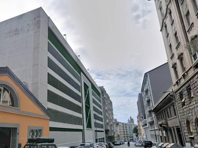 Box in affitto a Città Nuova-Barriera Nuova-San Vito-Città Vecchia, Villa Opicina