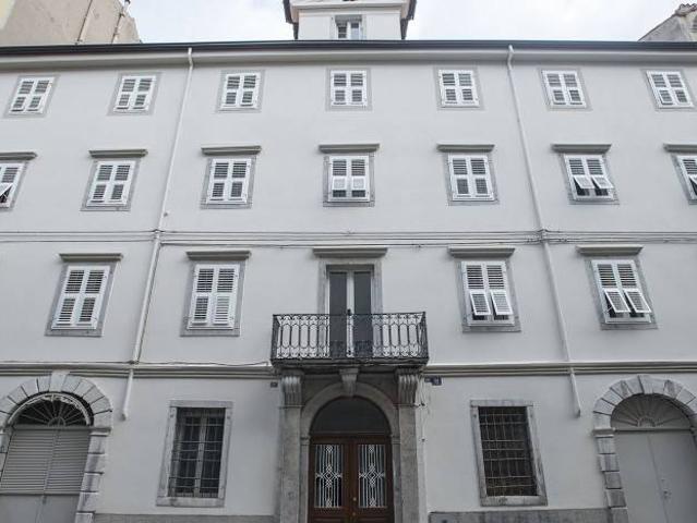 Box in affitto a Città Nuova-Barriera Nuova-San Vito-Città Vecchia, Villa Opicina