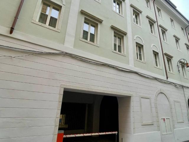 Box in affitto a Città Nuova-Barriera Nuova-San Vito-Città Vecchia, Villa Opicina