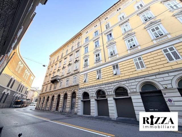 Box in affitto a Barriera Vecchia-San Giacomo, Villa Opicina