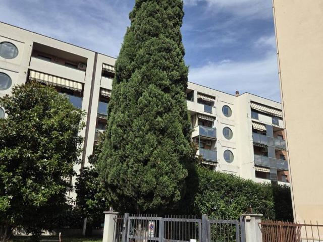 Box in vendita a Mantignano, Firenze