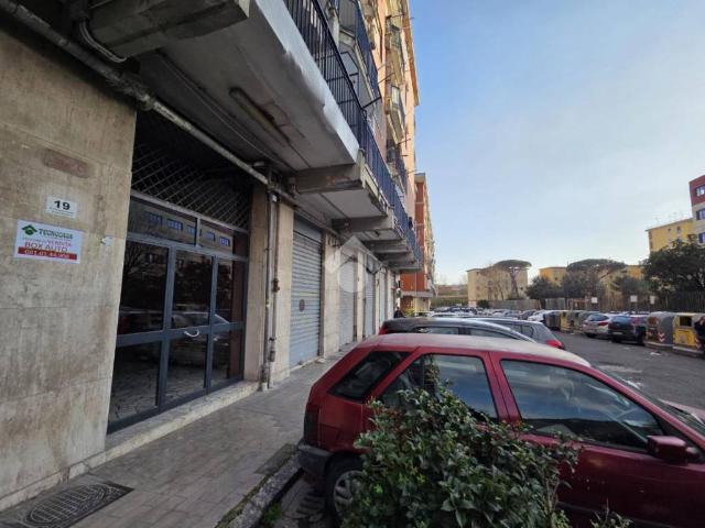 Box in vendita a Camaldoli, Napola