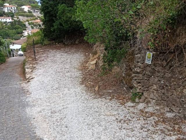 Box in vendita a Rio, Toscana