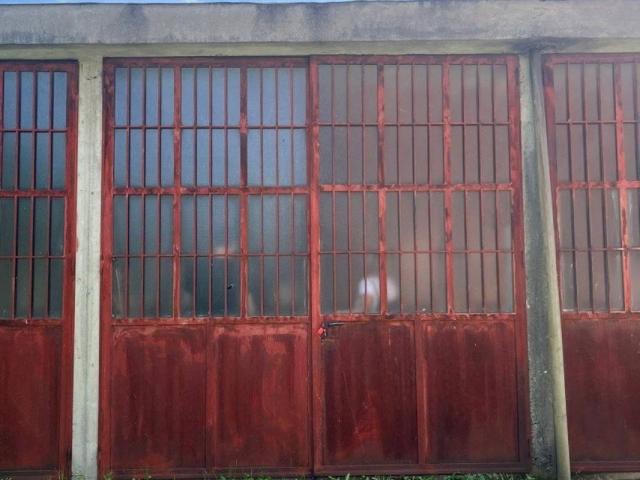 Box in vendita a Piemonte, Torino