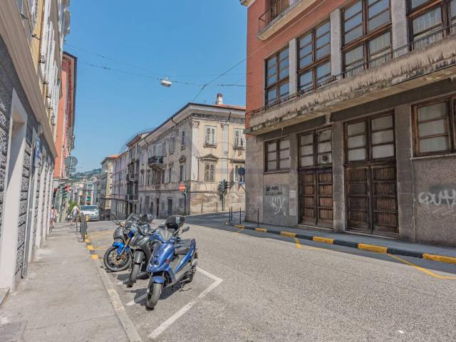 Box in vendita a Barriera Vecchia-San Giacomo, Villa Opicina