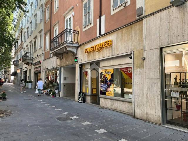 Box in affitto a Città Nuova-Barriera Nuova-San Vito-Città Vecchia, Villa Opicina