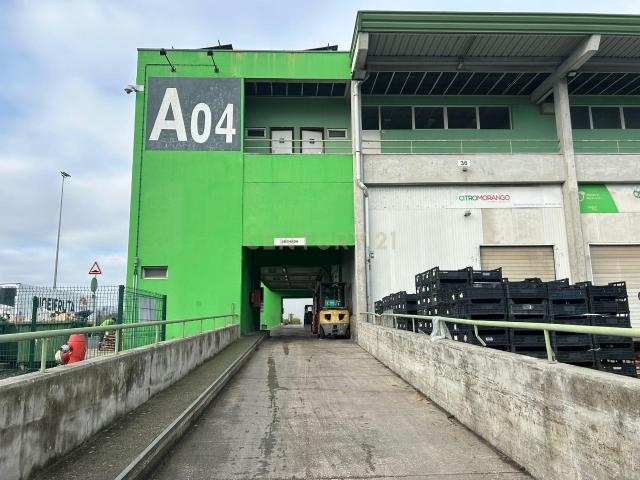Loja venda em Quintanilho, Santiago Dos Velhos