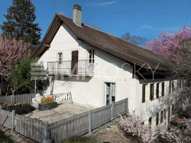 Einfamilienhaus kaufen in Curtilles, Waadt