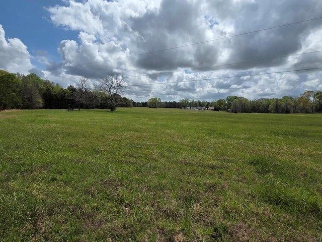 Land for sale in Honea Path, South Carolina