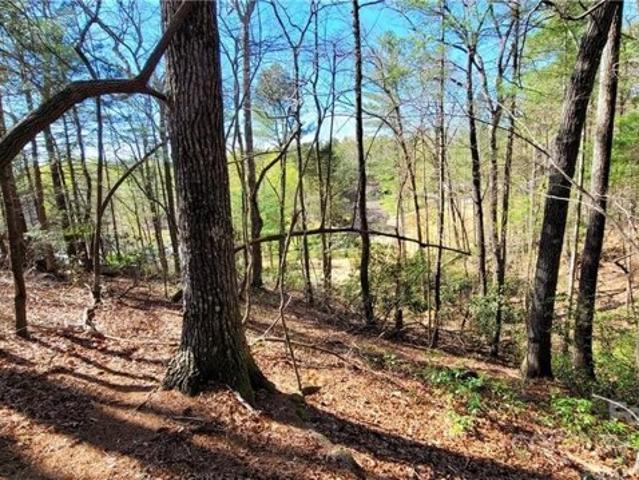 Land for sale in Morganton