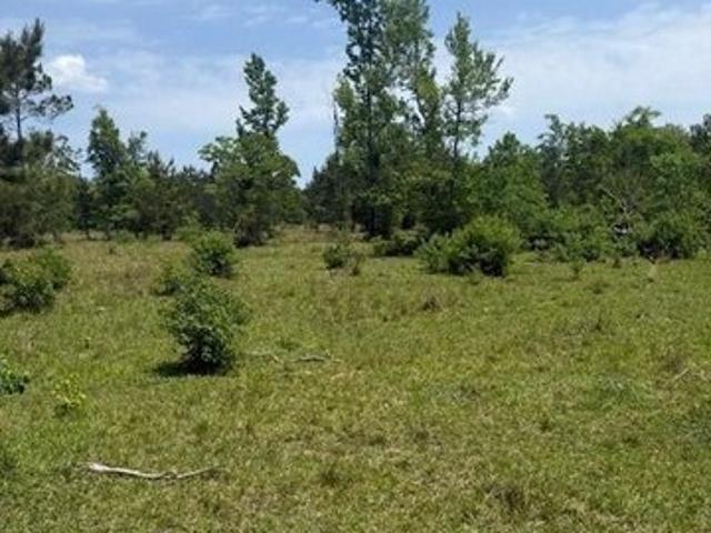 Land for sale in Covington, Louisiana