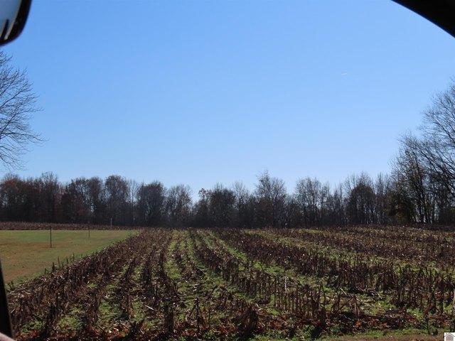 Farm for sale in Wingo, Kentucky