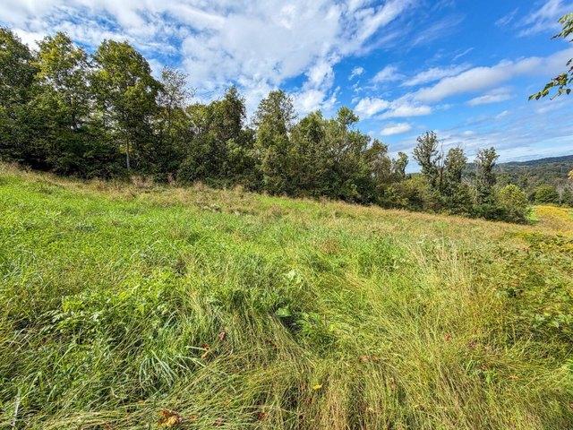 Land for sale in Bellaire, Belmont County