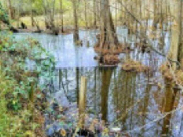 House for sale in Aiken, South Carolina