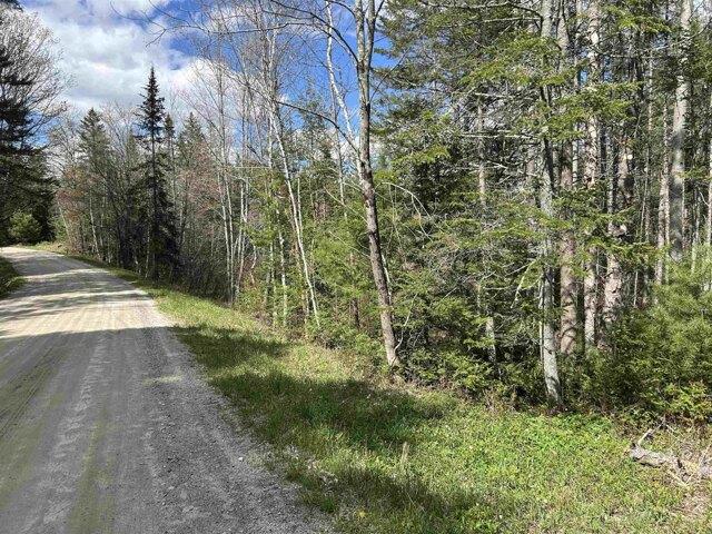 Land for sale in Londonderry, Vermont