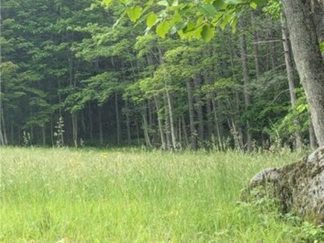 Land for sale in Kill Buck