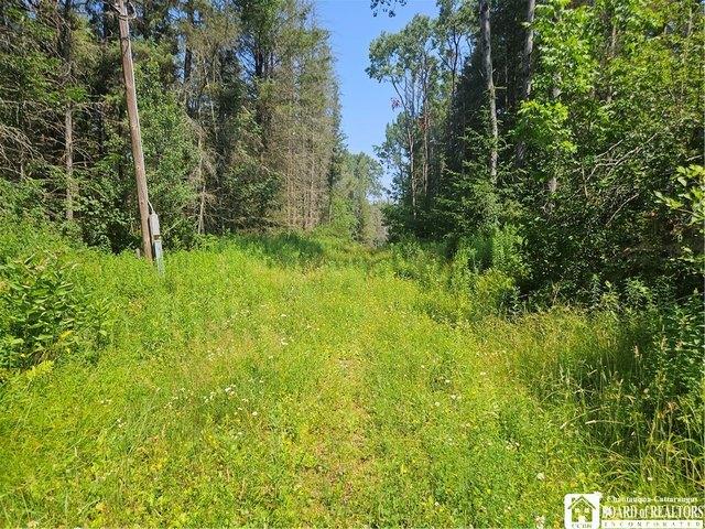 Land for sale in Town of Great Valley, Cattaraugus County