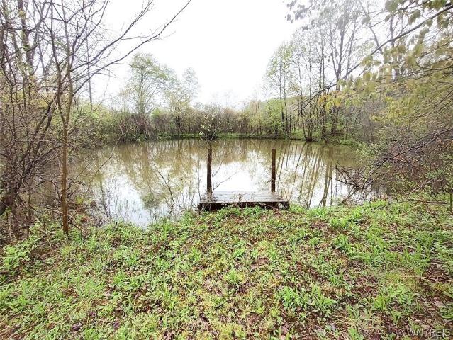 Land for sale in New York
