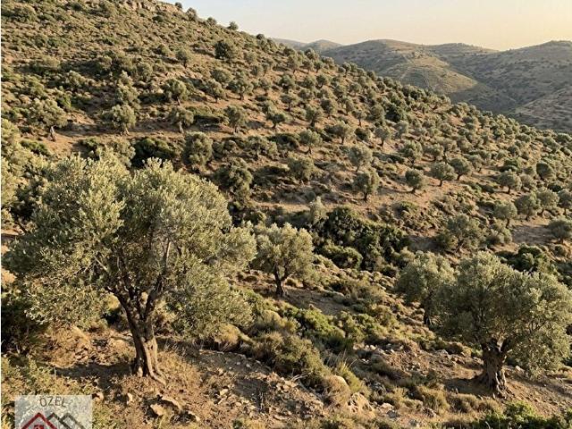 Ödemiş, İzmir içerisinde satılık mülk