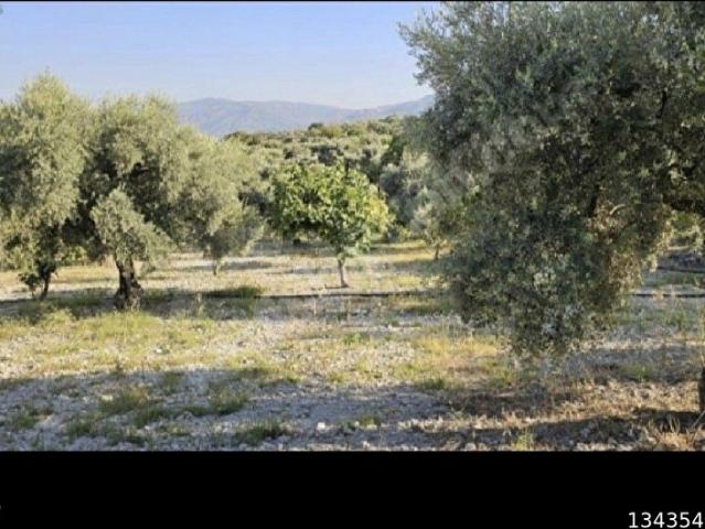 Kılavuzlar, Bozdoğan içerisinde satılık mülk