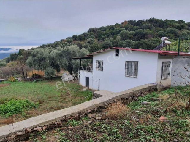 Bozdoğan, Aydin içerisinde satılık Bahce kati