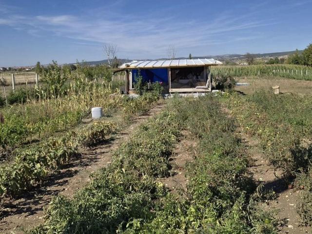 Bozkuş, Uşak Merkez içerisinde satılık Arsa