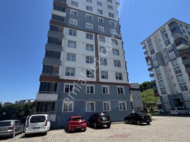 Ordu içerisinde kiralık mülk