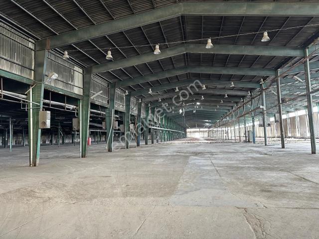 Bozüyük, Bilecik içerisinde kiralık Fabrika