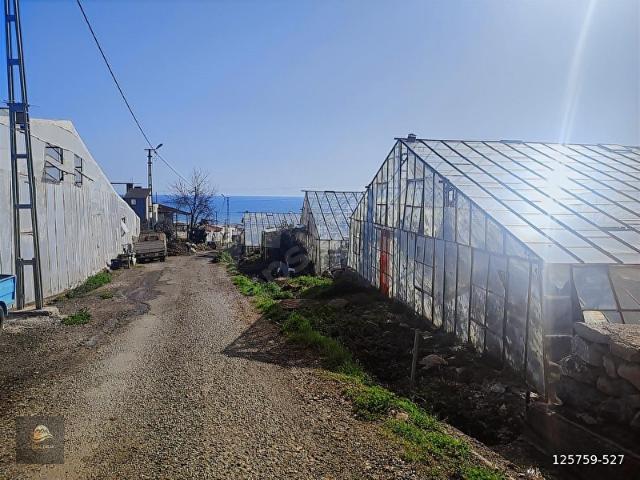 Bozyazi, Mersin içerisinde satılık mülk