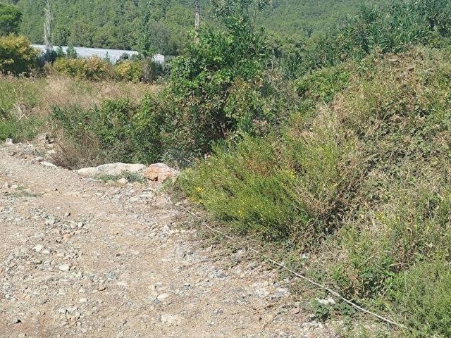 Tekedüzü, Bozyazı içerisinde satılık Arsa